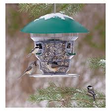 Bird Feeders For Small Birds Amazon Wild Bill S Non Electric Feeding Frenzy Bird Feeder Wild Https Www Amazon Com Dp B072vt8r6x Bird Feeders Unique Bird Feeders Squirrel Proof Bird Feeders