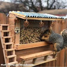 Man Inspired By The Squirrel Picnic Table Takes It On Another Level With This Amazing Squirrel Bar In 2020 Squirrel Feeder Diy Squirrel Squirrel Feeder