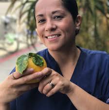 Island closed and will be reopened with free items