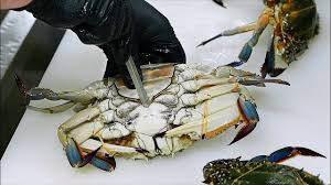 Japanese Food Red Lobster Scorpion Crabs Blue Crab Sashimi Teruzushi J Red Lobster Sashimi Japanese Food