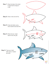 How to draw a shark step by step. How To Draw A Shark Step By Step For Kids Beginners
