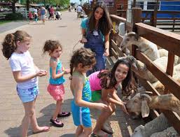 Staff educates guests about the animals they keep. Birthday Parties White Post Animal Farm Of Melville