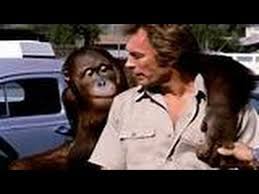 Any which way but loose. Every Which Way But Loose 1978 Eddie Rabbit Youtube