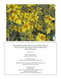 Image result for Tragia lasiophylla