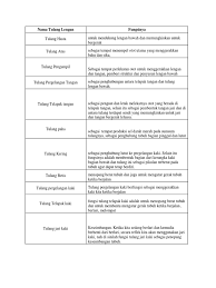 Berfungsi sebagai penopang dan menciptakan struktur juga bentuk tubuh manusia. Nama Tulang Lengan Fungsinya
