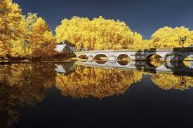 Infrared Photographs By Pierre Louis Ferrer Capture French Landscapes In Bright Yellow Hues Colossal Infrared Photography Scenery Landscape