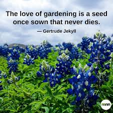 Maybe you would like to learn more about one of these? Glover Nursery On Twitter The Love Of Gardening Is A Seed Once Sown That Never Dies Gloverlovesthis Quotes