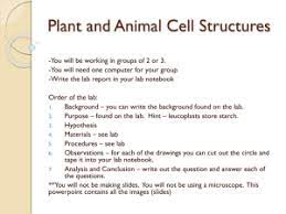 Get all of hollywood.com's best movies lists, news, and more. Plant Cell Virtual Lab
