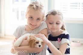 Ok, maybe not every child, but the union between a dog and a child can be a positive and special bond. 5 Mistakes To Avoid When Bringing A New Puppy Home To Your Kids Peanut Blossom