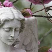 Search Kathleen Sharp Obituaries and Funeral Services
