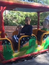 Här hittar du alla julbord nära parken zoo, eskilstuna. Eskilstuna Och Parken Zoo Pompolina Travels