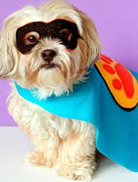 Super Hero Costumes For Dogs Dog Halloween Costumes Dog Costumes For Kids Super Hero Costumes