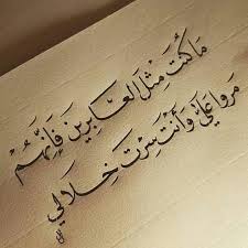 ماكنت مثل العابرين فإنهم مروا علي وأنت سرت خلالي Romantic Words Quotes For Book Lovers Words Quotes