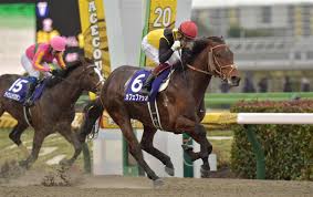 開催日 開催 天 気 r レース名 映像 距離 頭 数 馬 場 タイム ペース 勝ち馬 騎手 調教師 2着馬 3着馬; G Y0cbgepi Ydm