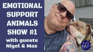 Debbie Bridge (@debbiebridge)