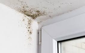 A large part of our pest control services includes bug extermination. Residential Pest Control Experts Russell S Pest Control In Knoxville Tn
