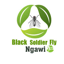 Google is still by far the most powerful search engine in the world, it crawls the web at an astonishing. Omah Maggot Bsf Ngawi Posts Facebook