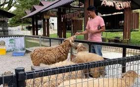 Animal profiles read interesting facts about the characteristics and behavior of visitors' pages switch zoo visitors share funny and creative animal names, drawings. Help Pet Animals In The Zoo Affected By The Covid 19 Crisis Ticket2u Blog
