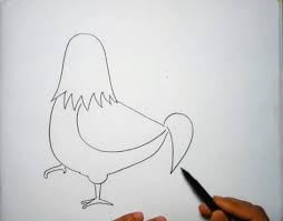 Kemudian untuk tata cara pasang wifi di kampung, hal pertama yang harus dilakukan adalah menghubungi call center indihome. 24 Gambar Cara Lukis Ayam