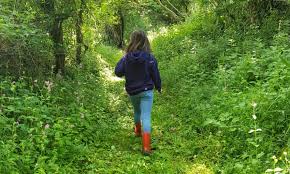 We did not find results for: We Re On The Hunt For Young Nature Lovers Do You Know Any Wildlife The Guardian