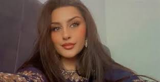 Ex-Walsall Council leader quits politics after 'intimidation' amid family  heartbreak