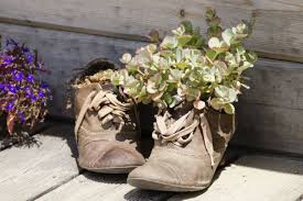 Originelle Pflanzgefasse 21 Pfiffige Ideen Fur Jeden Geschmack Pflanzgefasse Pflanzen Alte Schuhe