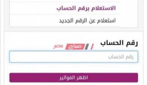 فاتورة التليفون الأرضي عن شهر يناير الدخول على موقع الشركة المصرية للاتصالات بغرض الاستعلام عن فاتورة التليفون وستظهر لهم حتى نهاية يوم 14 إبريل رسالة تقول نصها: Ø§Ø³ØªØ¹Ù„Ø§Ù… ÙØ§ØªÙˆØ±Ø© Ø§Ù„ØªÙ„ÙŠÙÙˆÙ† Ø§Ù„Ø£Ø±Ø¶ÙŠ Ù„Ø´Ù‡Ø± Ù†ÙˆÙÙ…Ø¨Ø± 2020 Ø±Ø§Ø¨Ø· Ù…Ø¹Ø±ÙØ© ÙØ§ØªÙˆØ±Ø© Ø§Ù„ØªÙ„ÙŠÙÙˆÙ† Ø§Ù„Ø£Ø±Ø¶ÙŠ Ø¥Ù„ÙƒØªØ±ÙˆÙ†ÙŠØ§ Ù…ÙˆÙ‚Ø¹ ØµØ¨Ø§Ø­ Ù…ØµØ±