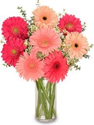 We take pride in our unique and fun we have been proudly delivering gifts and flowers to loveland and the surrounding areas since 1950. About Us Enchanted Florist Ii Colorado Springs Co