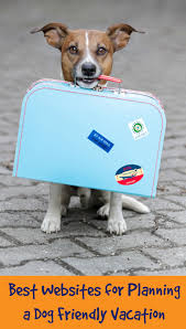 Best Websites For Planning A Dog Friendly Vacation Dog Friendly Vacation Dog Friends Dog Travel