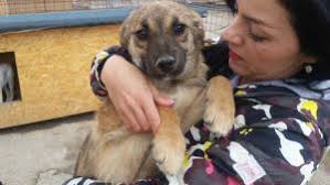 Wir haben ein Zuhause gefunden