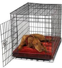 Basket And Crate Panosundaki Pin