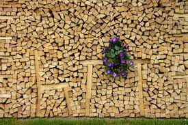 Holz Firewood Stacking Firewood Garden In The Woods