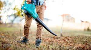 Akku Laubblaser Von Bosch Und Makita Stark Reduziert Laubblaser Laub Kleiner Garten