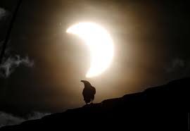 10 июня произошло кольцеобразное солнечное затмение. Posmotrite Na Kolceobraznoe Solnechnoe Zatmenie 42 Tut By