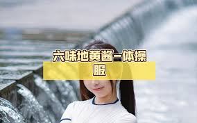 六味地黄酱-体操服- BiliBili