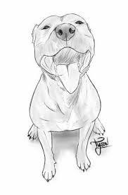 Resultado De Imagen Para Dibujos A Lapiz De Perros Bull Terrier Animal Drawings Pitbull Drawing Dog Art