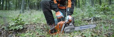 Free delivery and returns on ebay plus items for plus members. How To Start A Chainsaw Husqvarna Chainsaw Academy