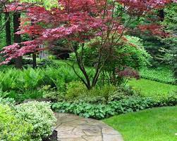 Three Dogs In A Garden Part 2 Gardens With An Uneven Terrain Japanese Garden Plants Garden Landscape Design