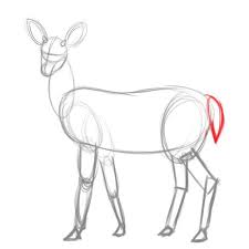 Der erste schritt beim zeichnen ist immer das erforschen des materials (das ist übrigens bei allen künstlerischen techniken so). How To Draw A Deer Drawings Deer Drawing Art Inspiration