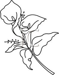 Iclipart Com Downloadable Royalty Free Clipart Images Photos Web Graphics Animations Sounds And Fonts By Su Calla Lily Tattoos Lily Tattoo Lilies Drawing