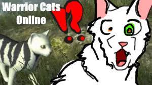Features warrior cat games and movies. Warrior Cats Online Alpha Game Play By Some Art On Deviantart