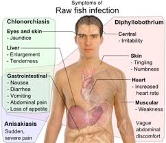 When you touch the eggs with your fingers, the eggs will enter your mouth and travel to your intestines. Does Your Sushi Contain Parasites Bugbitten