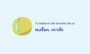 Semana 35 De Embarazo Sintomas Y Consejos Dodot Es