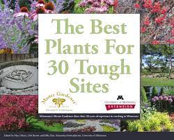 Unfortunately, these are also the most tender type of annuals. The Best Plants For 30 Tough Sites University Of Minnesota