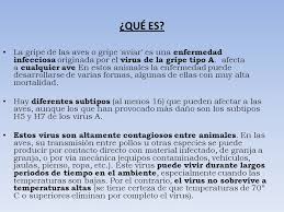 La noticia llega en medio de una mayor. La Gripe Aviar Ppt Descargar