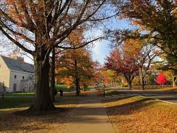 Apply to package handler, circulation assistant, teacher and more! The Cost Of Living In Princeton Nj Unpakt Blog