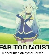 Far Too Moist Moister Than An Oyster Arctic Meme On Me Me