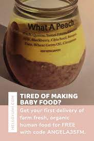 Yumi Baby Food Discount Baby Food Recipes Food Discount Food