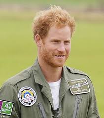 Prince Harry's facial hair sends Twitter ablaze during Battle of Britain  flypast