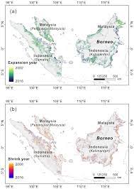 The giant in the malaysia palm oil industry is also one of the largest conglomerates in the country. Essd Annual Oil Palm Plantation Maps In Malaysia And Indonesia From 2001 To 2016